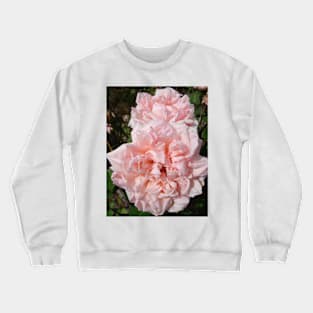 Blush Pink Vintage Rose Crewneck Sweatshirt